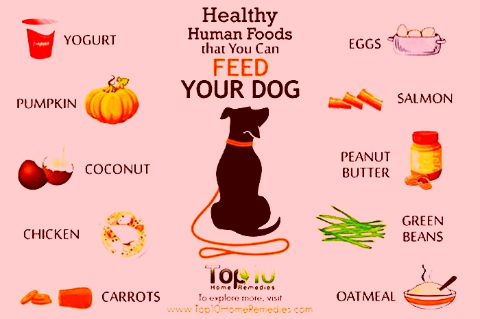 What is the best human food for dogs with itchy skin