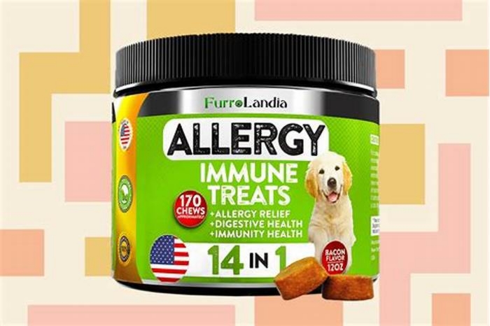 What is the best medicine for dog allergies