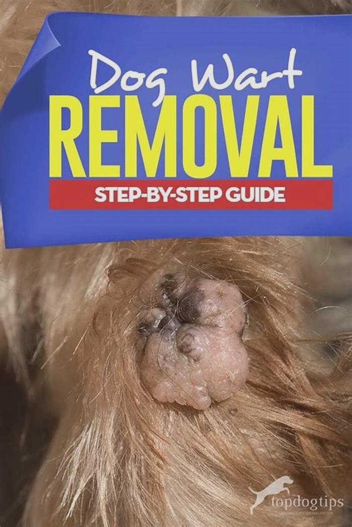 What is the fastest way to get rid of dog warts natural?