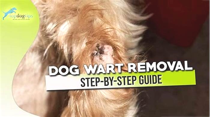 What is the fastest way to get rid of dog warts