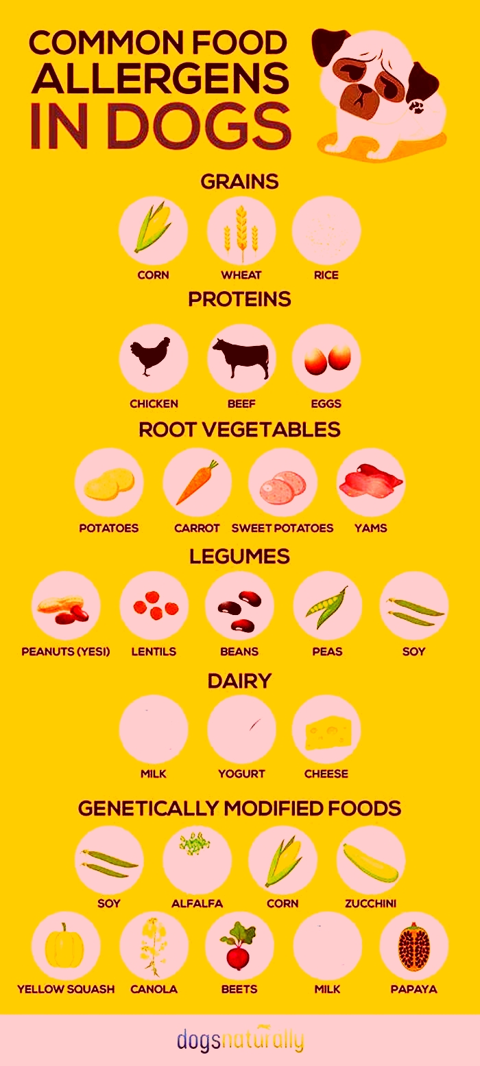 What meat causes most allergies in dogs