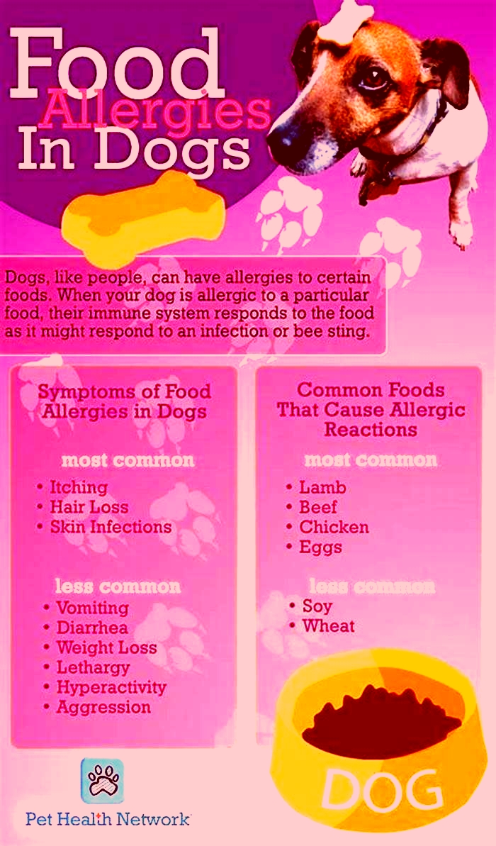 What meat is less allergic to dogs?