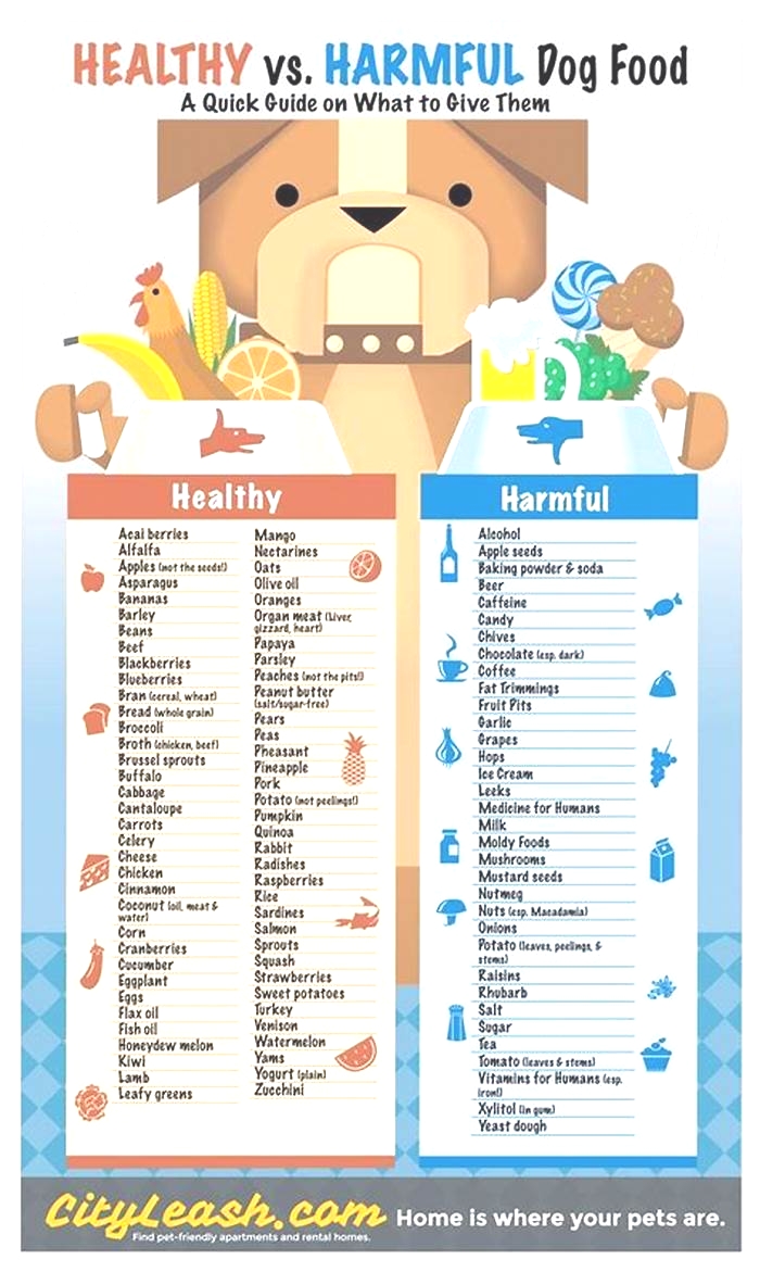 What meat is safest for dogs?