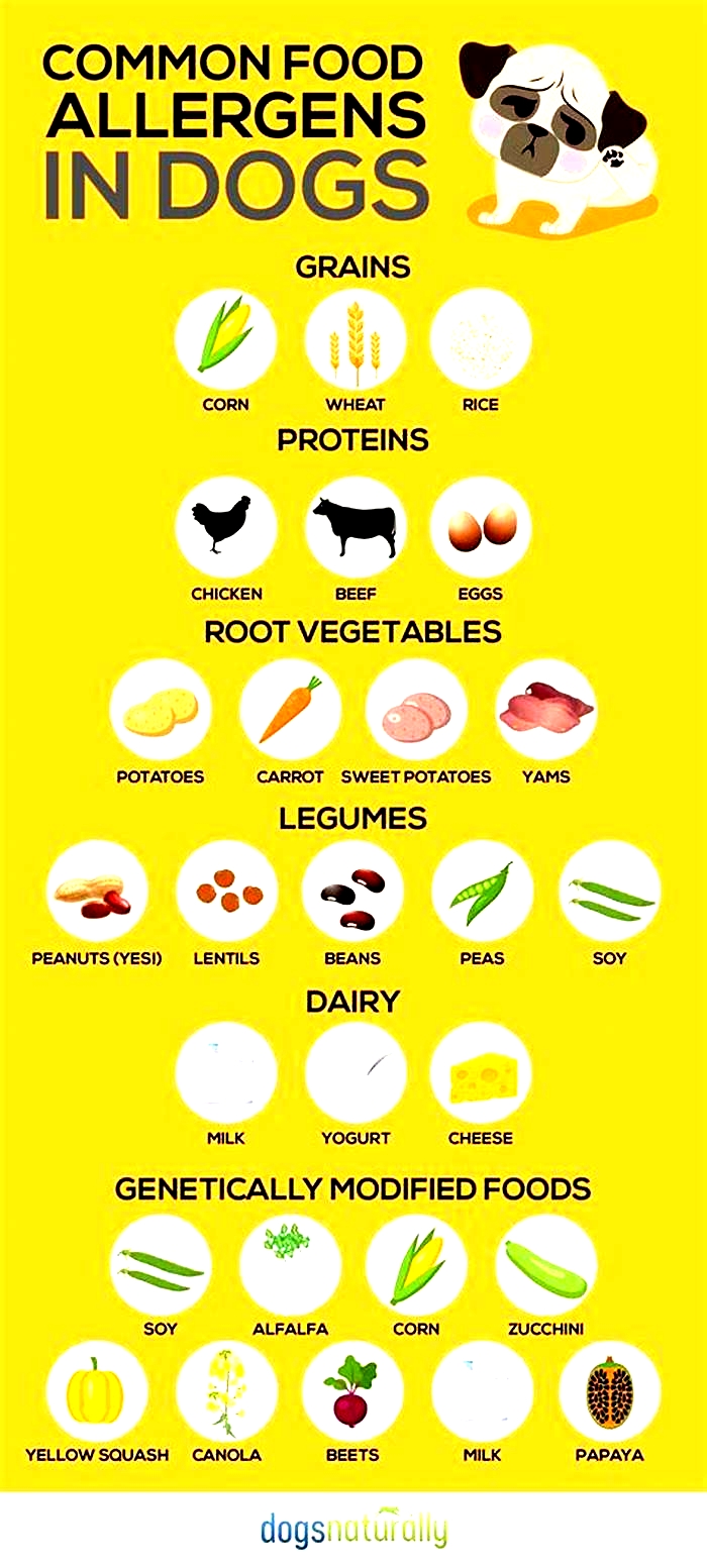 What meats cause the most allergies in dogs