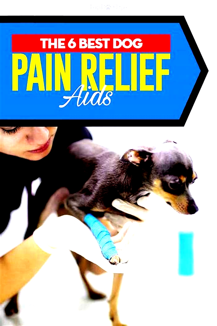 What pain killer can I give my dog?