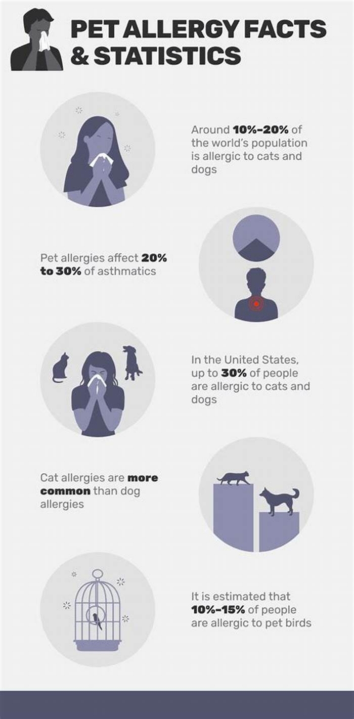 What percentage of people are allergic to dogs