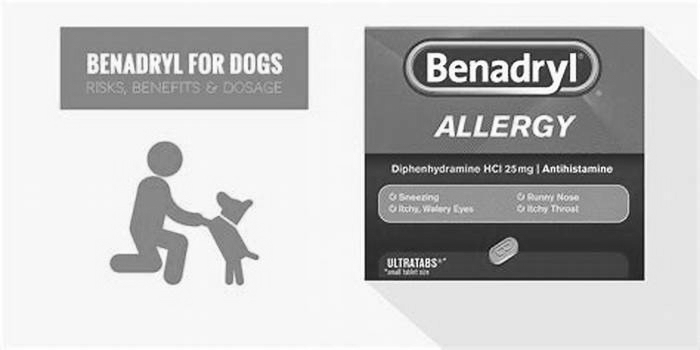 Which antihistamine is safe for dogs