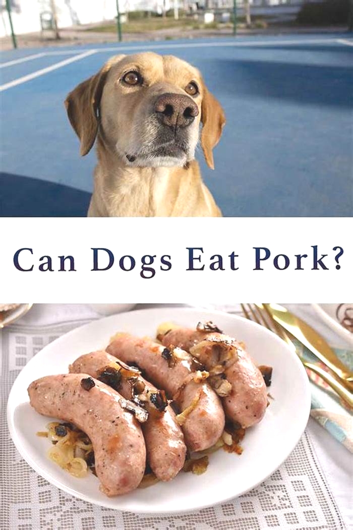 Which is better for dogs chicken or pork