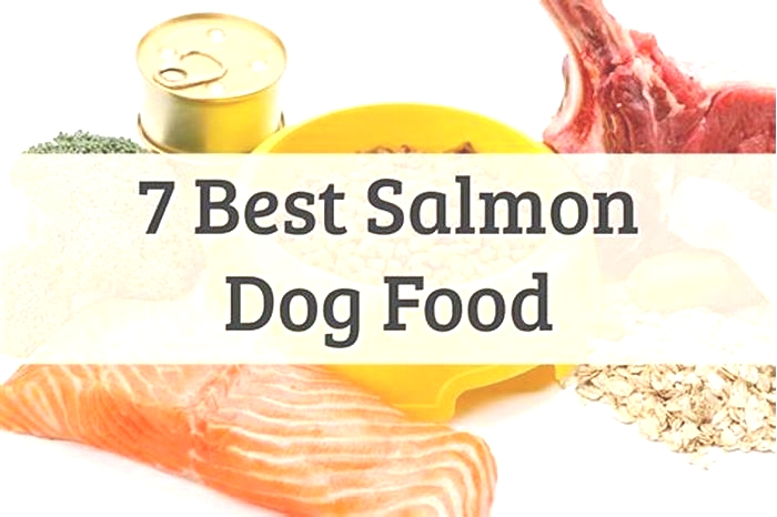 Which is better for dogs chicken or salmon