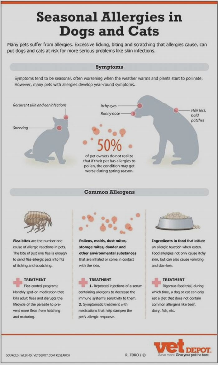 Which is worse for allergies cats or dogs