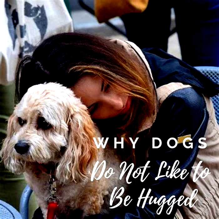 Why do dogs not like hugs