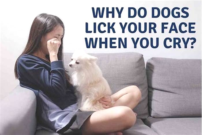 Why does my dog lick me when I cry?