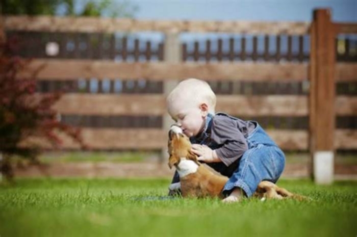 Why does my dog lick my baby