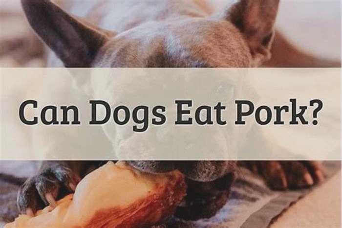 Why shouldn t dogs eat pork