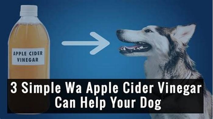 Will apple cider vinegar help my dog stop itching?