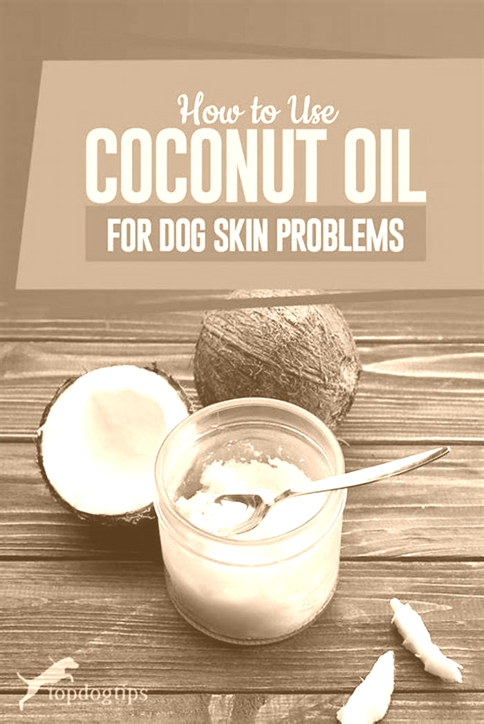 Will coconut oil help dogs itchy skin