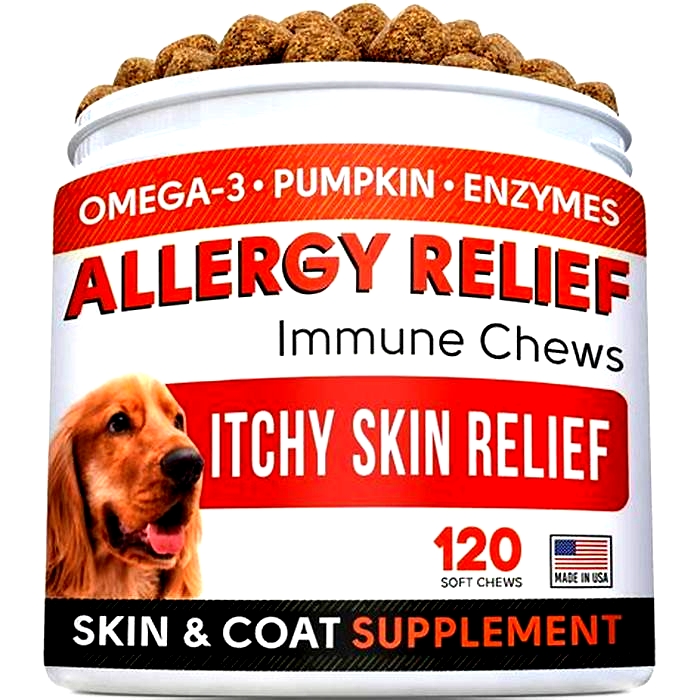 Will pumpkin help my dog stop itching